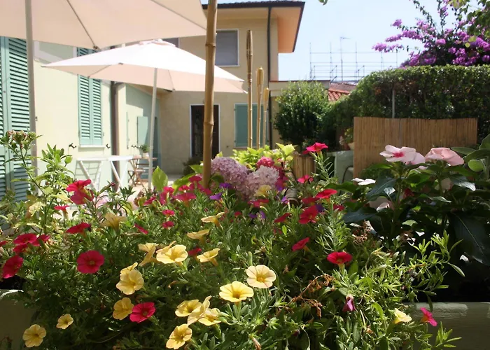 La Del Geco Marina di Pietrasanta