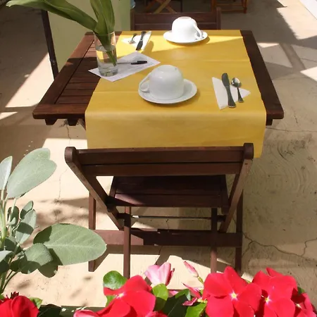 La Del Geco Marina di Pietrasanta