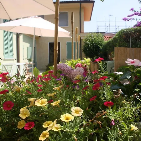 La Del Geco Marina di Pietrasanta